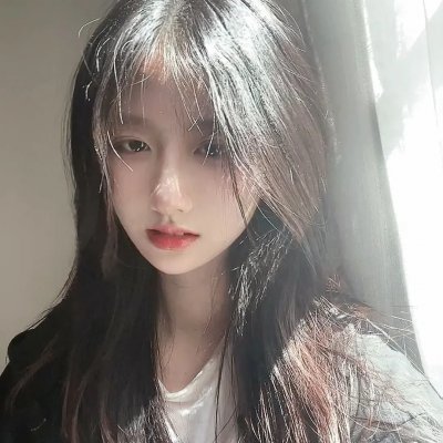 光荣之路上的狗