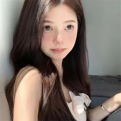 一只小蜘蛛